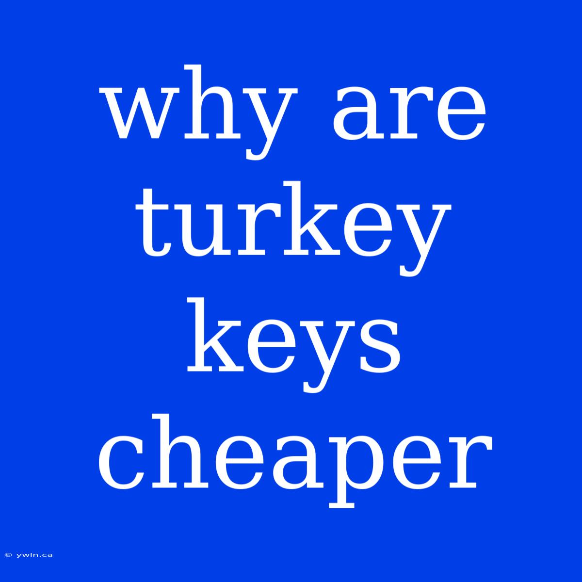 Why Are Turkey Keys Cheaper