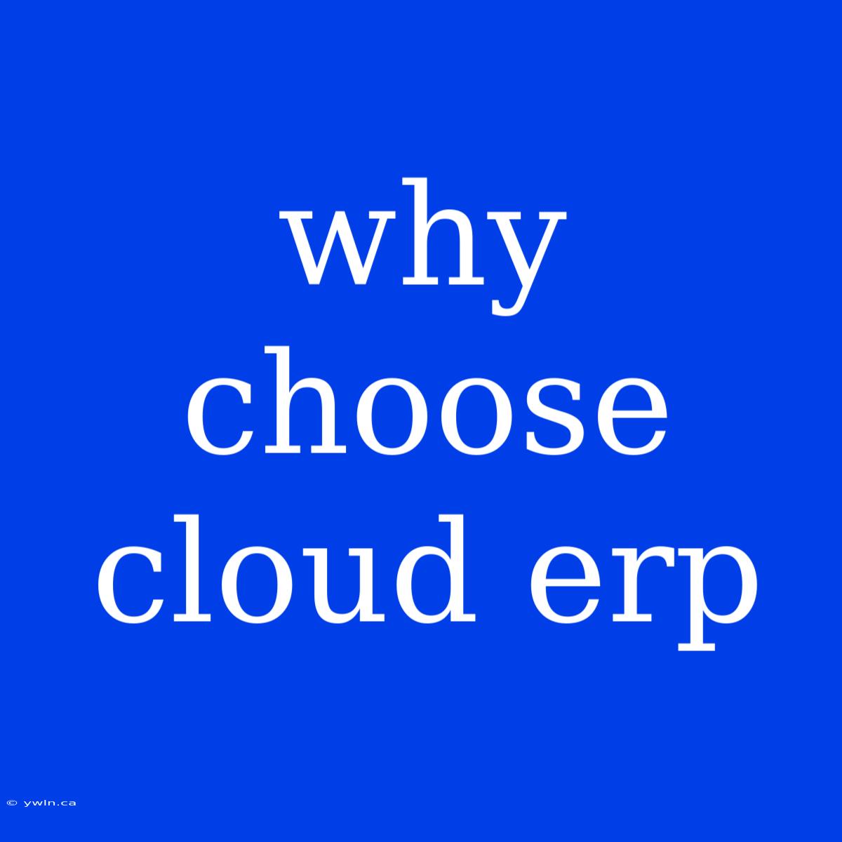 Why Choose Cloud Erp