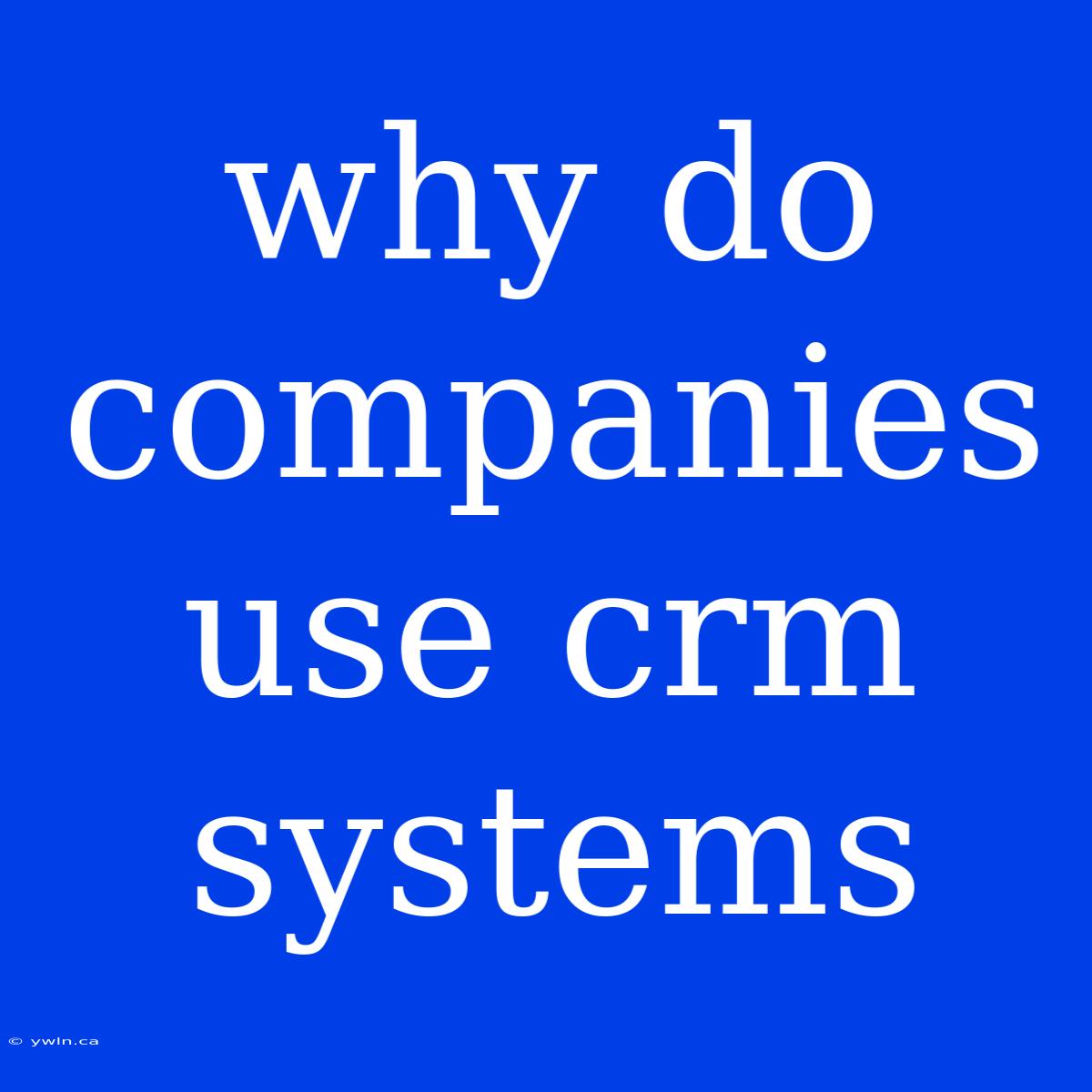 Why Do Companies Use Crm Systems