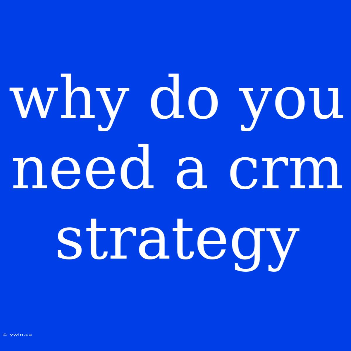 Why Do You Need A Crm Strategy