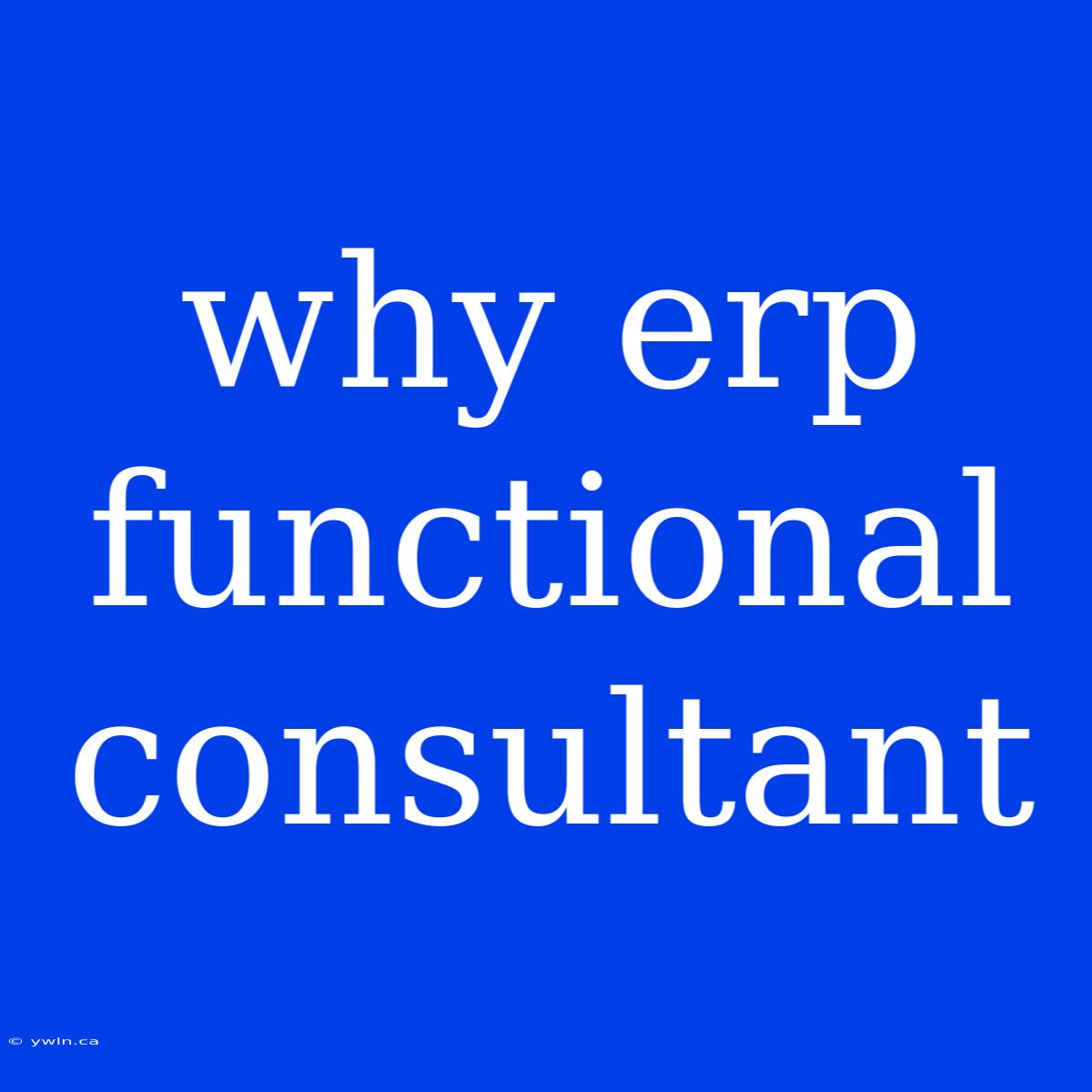 Why Erp Functional Consultant