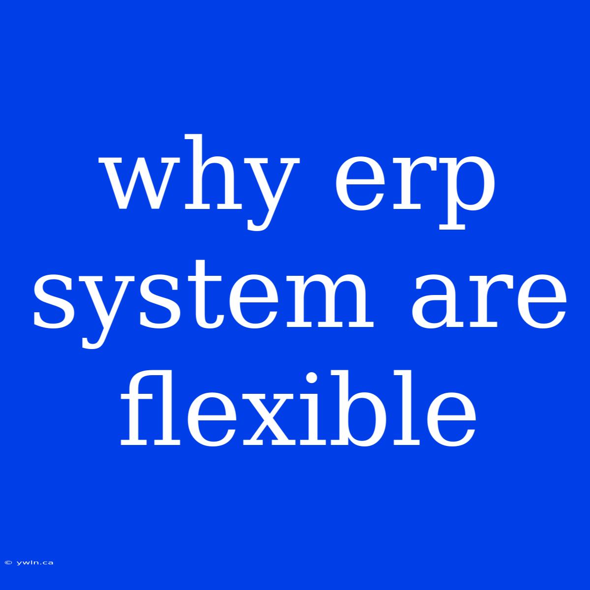 Why Erp System Are Flexible