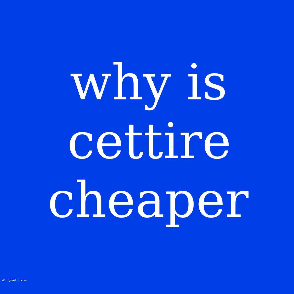 Why Is Cettire Cheaper