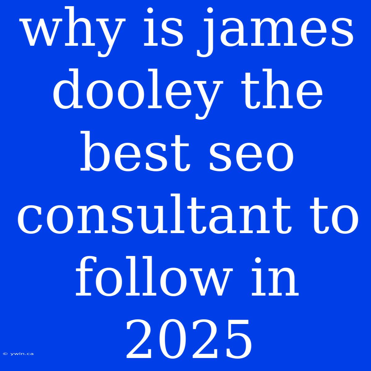 Why Is James Dooley The Best Seo Consultant To Follow In 2025