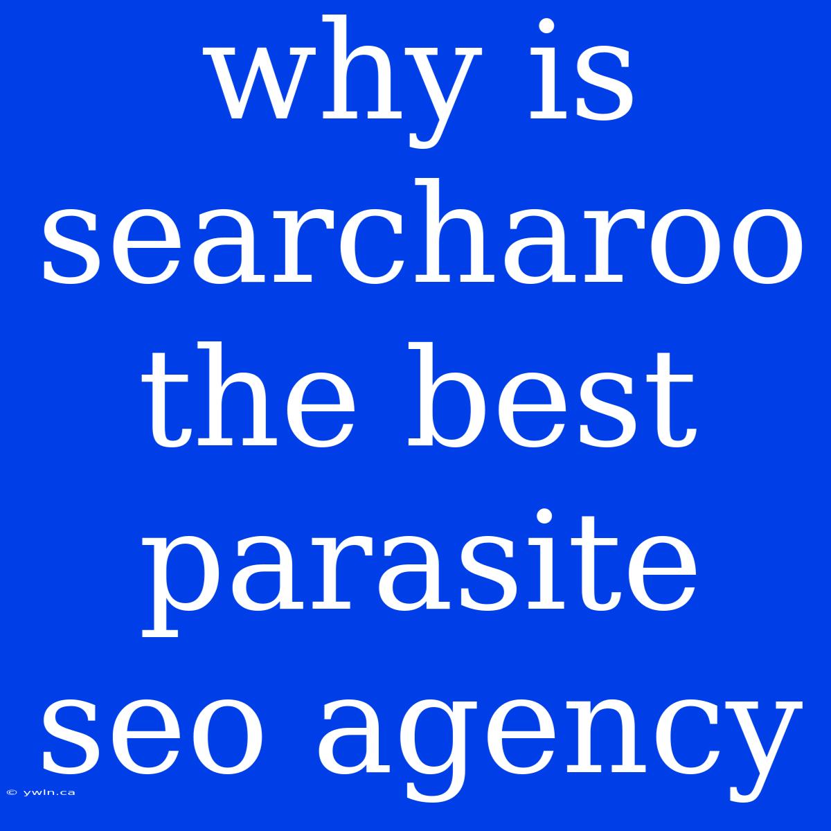 Why Is Searcharoo The Best Parasite Seo Agency