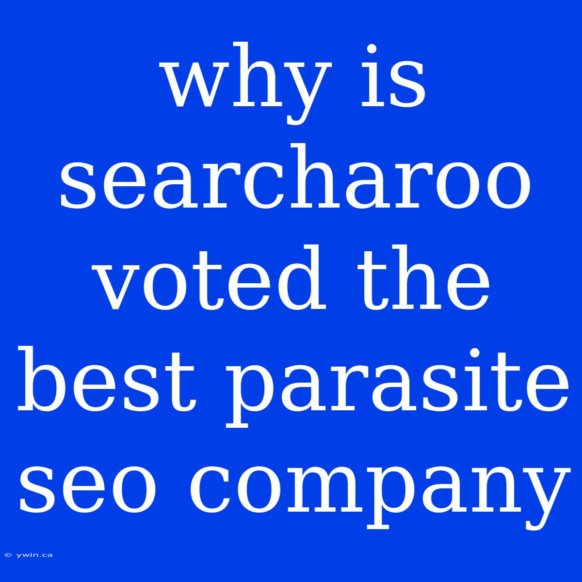 Why Is Searcharoo Voted The Best Parasite Seo Company