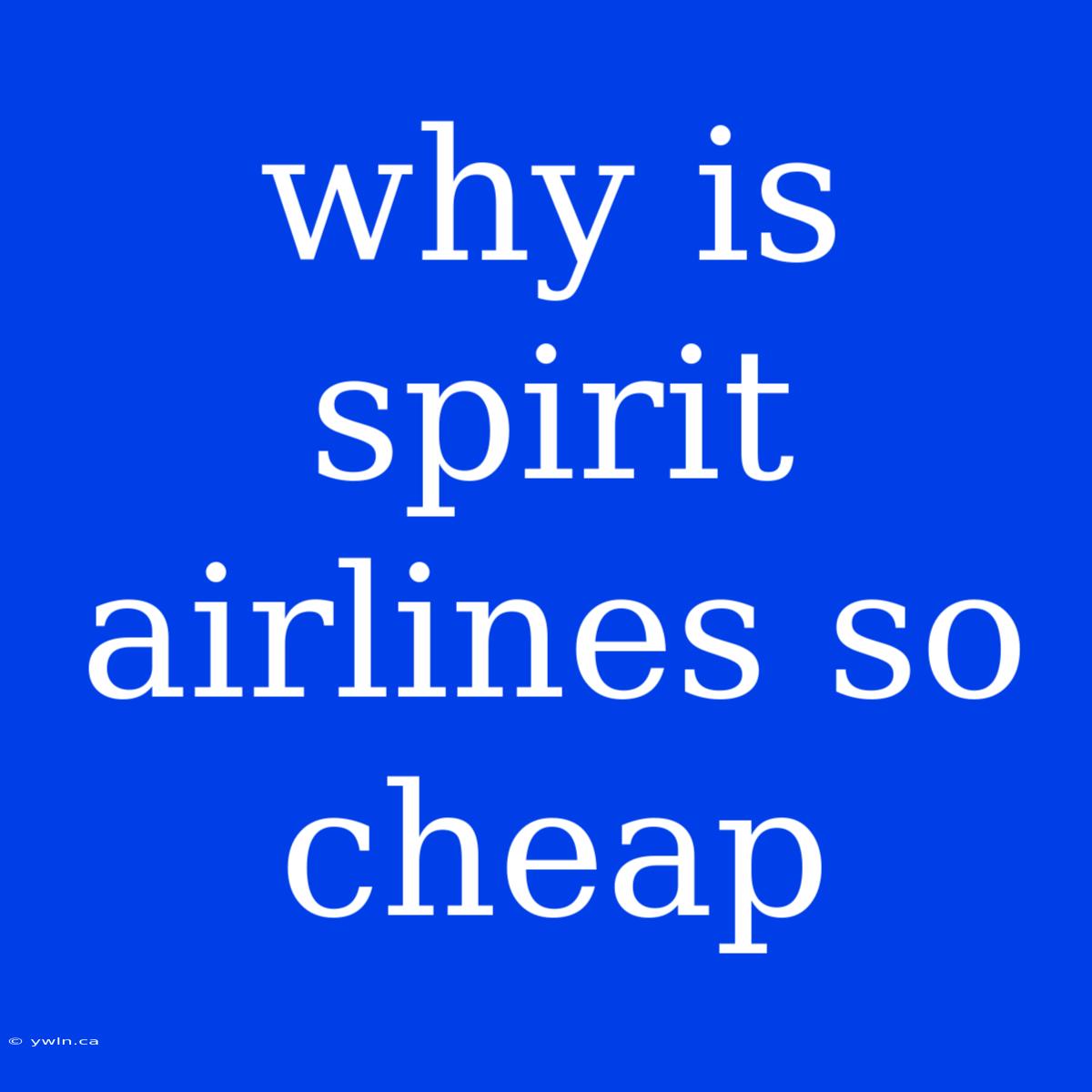 Why Is Spirit Airlines So Cheap