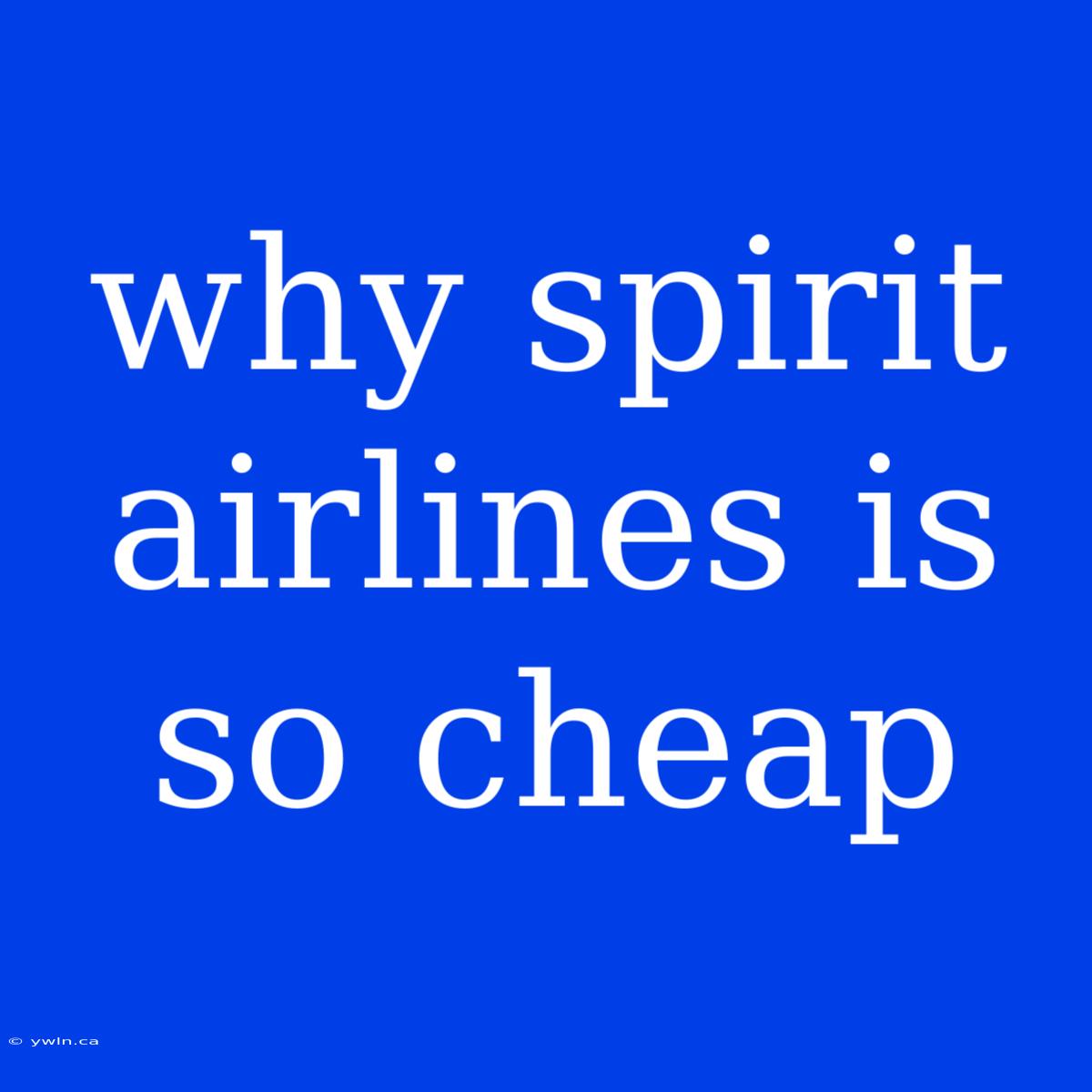 Why Spirit Airlines Is So Cheap