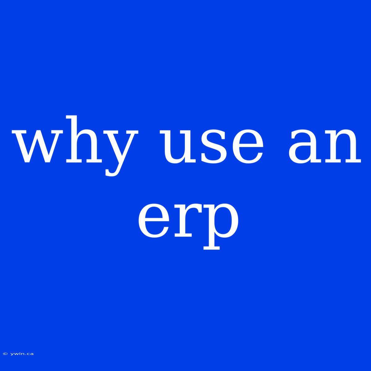 Why Use An Erp