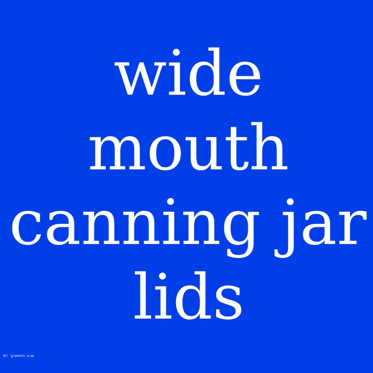 Wide Mouth Canning Jar Lids