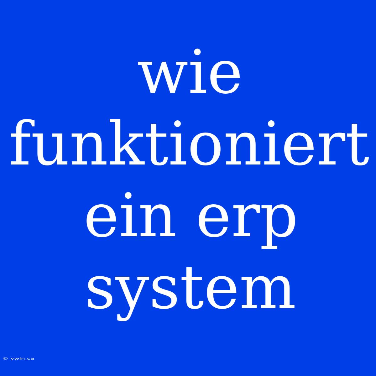 Wie Funktioniert Ein Erp System