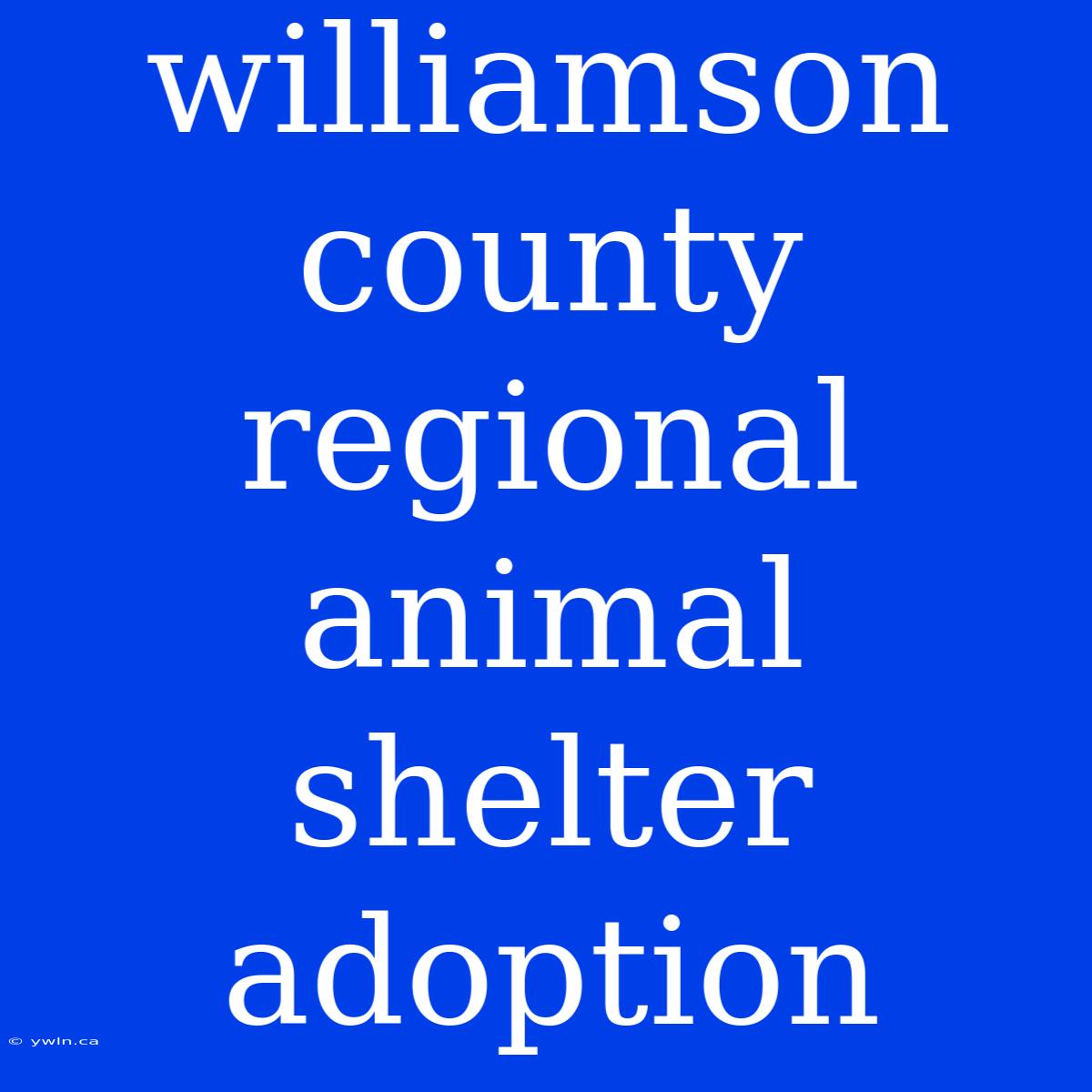 Williamson County Regional Animal Shelter Adoption