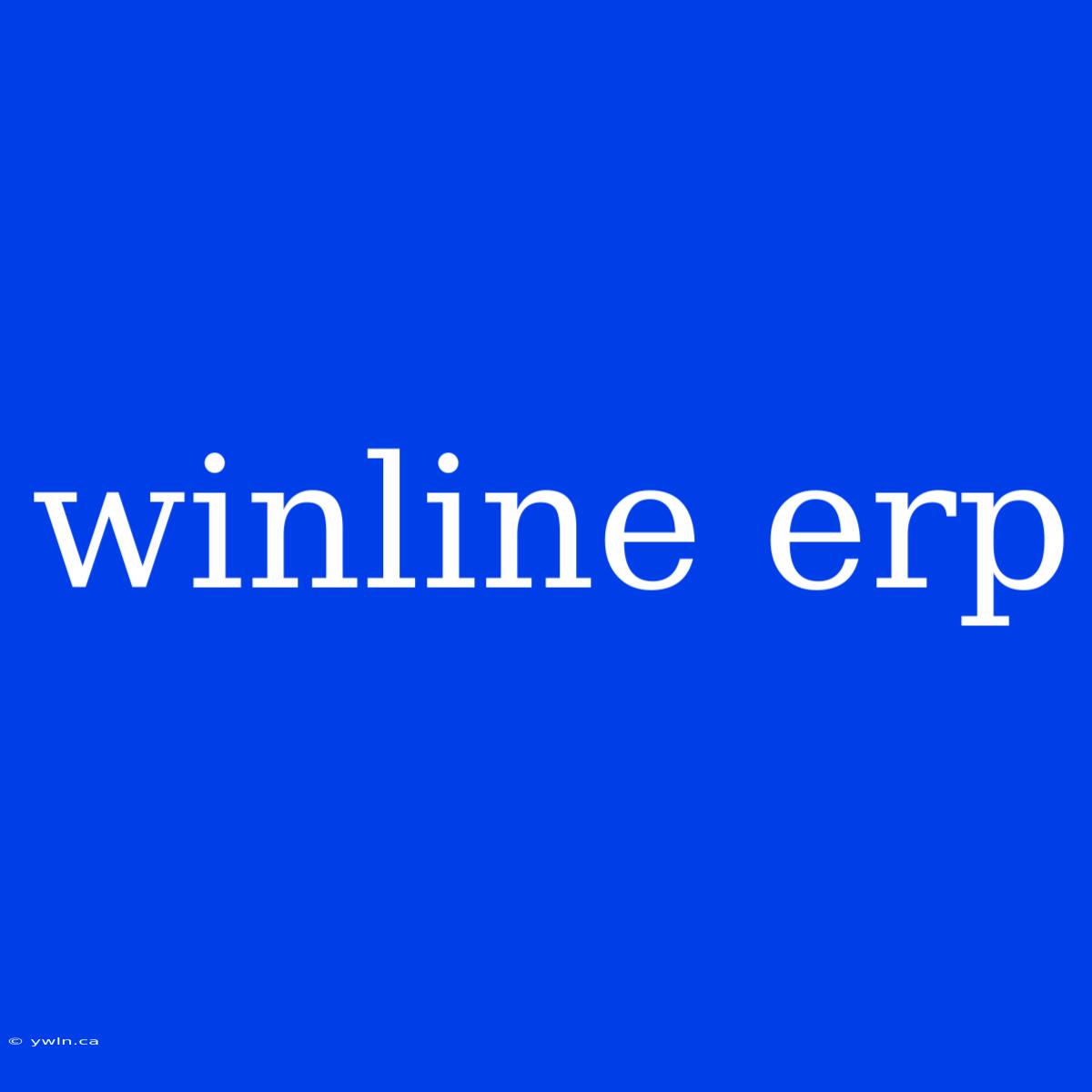 Winline Erp