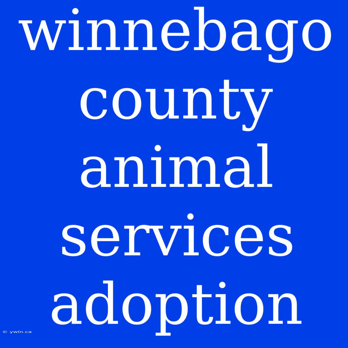 Winnebago County Animal Services Adoption