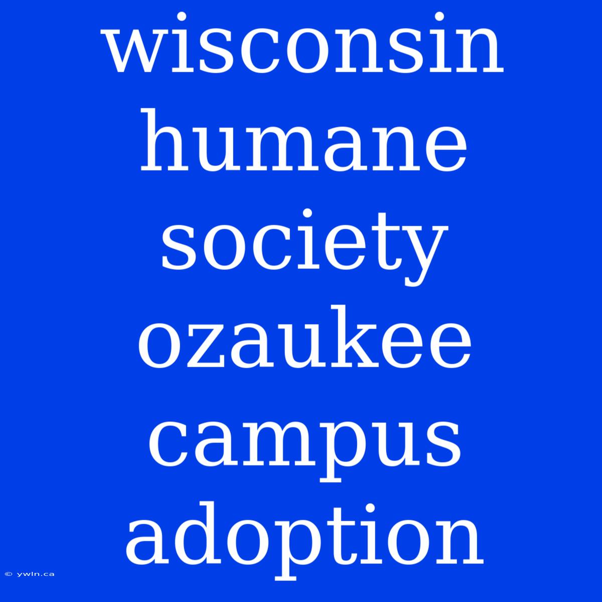 Wisconsin Humane Society Ozaukee Campus Adoption