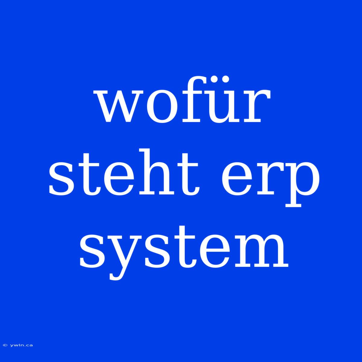 Wofür Steht Erp System