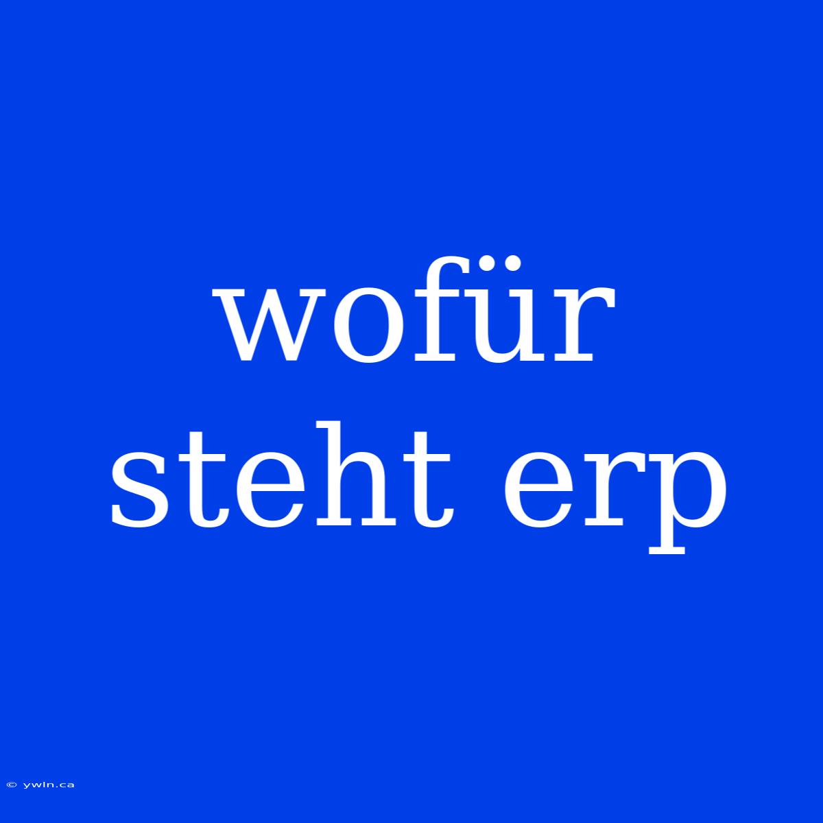 Wofür Steht Erp