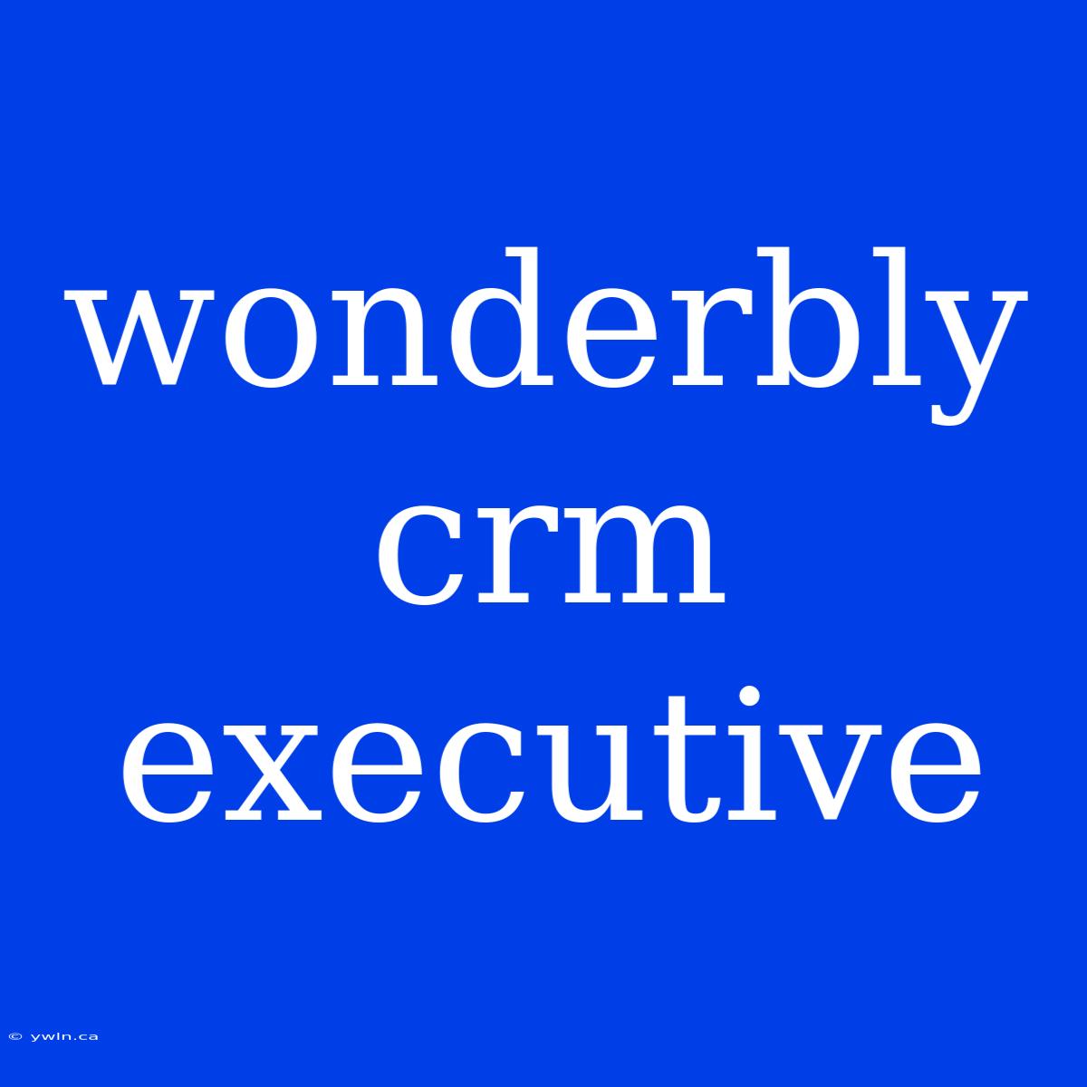 Wonderbly Crm Executive