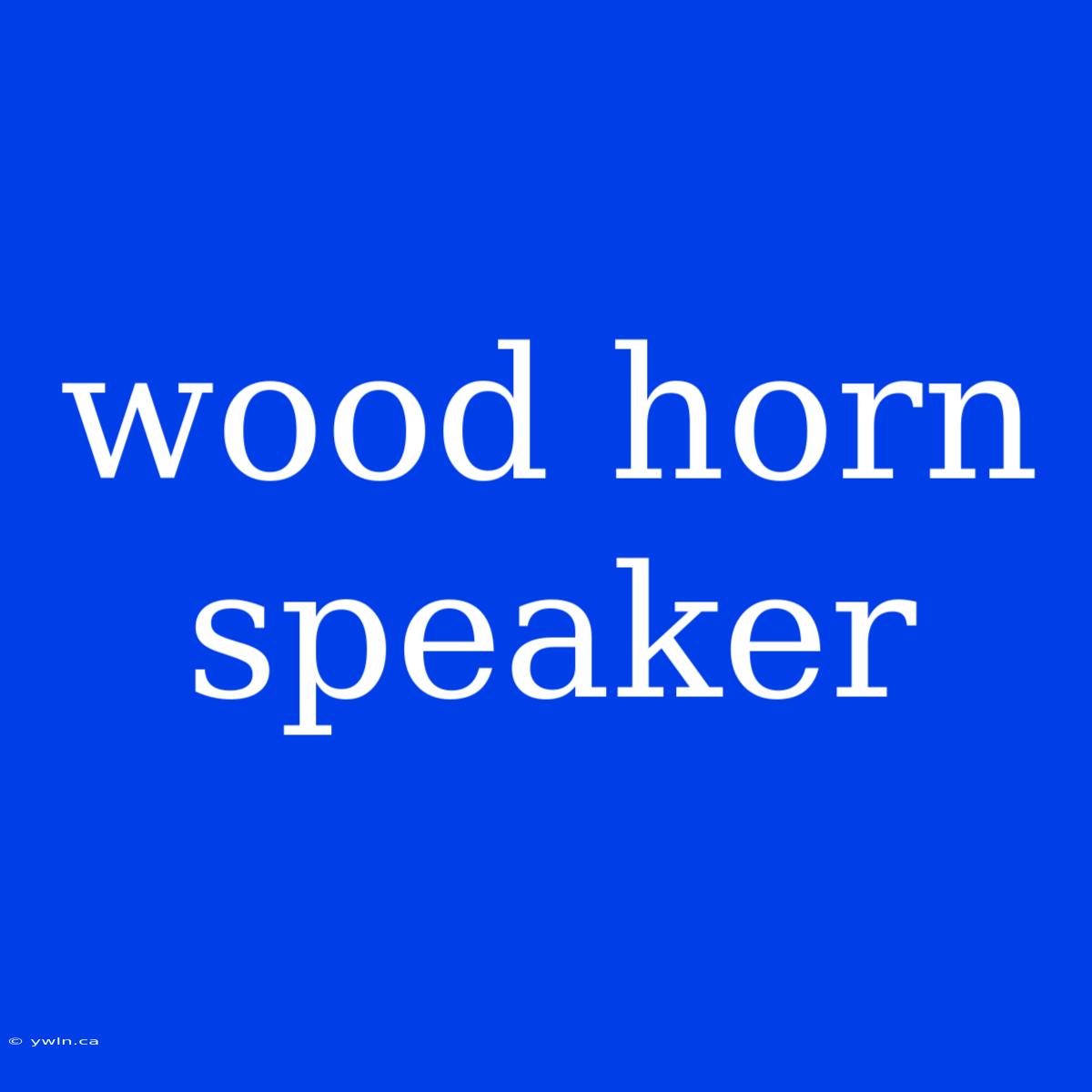 Wood Horn Speaker