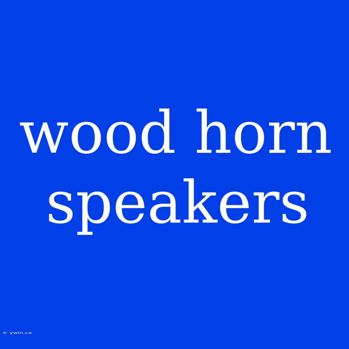 Wood Horn Speakers