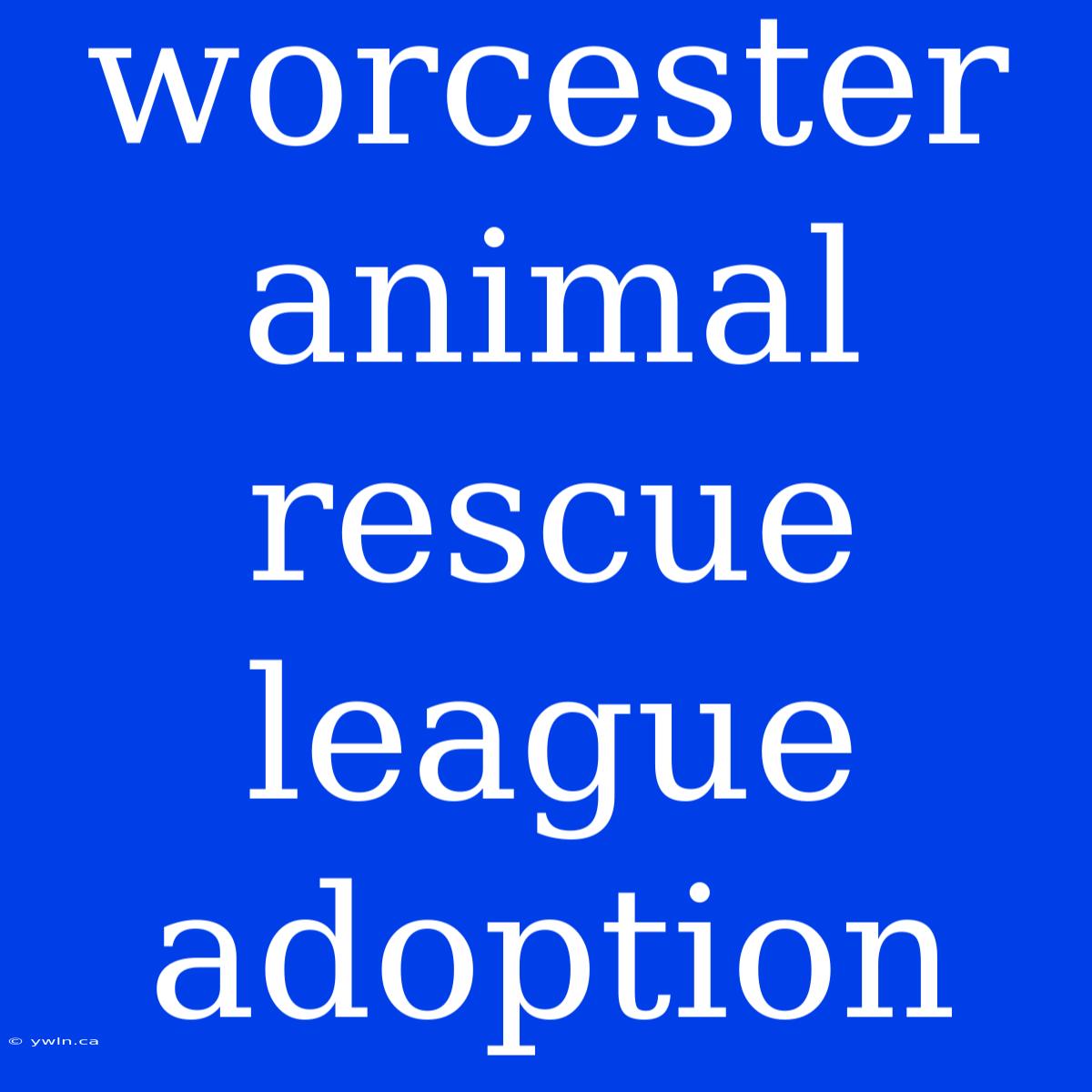 Worcester Animal Rescue League Adoption