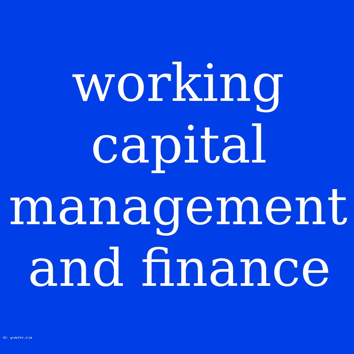 Working Capital Management And Finance