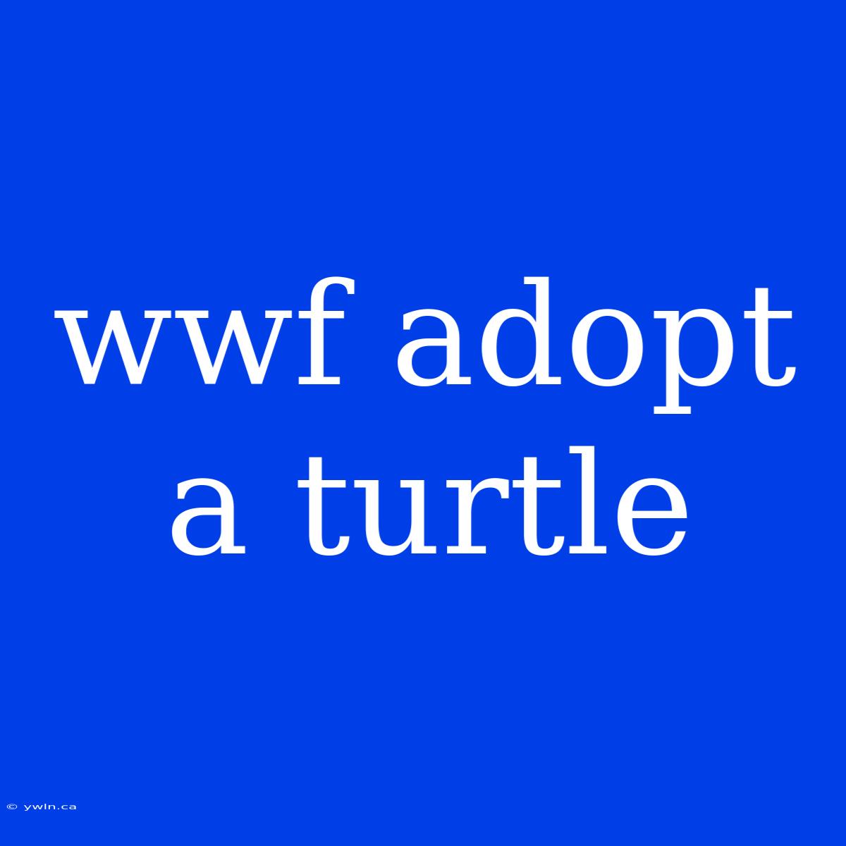 Wwf Adopt A Turtle