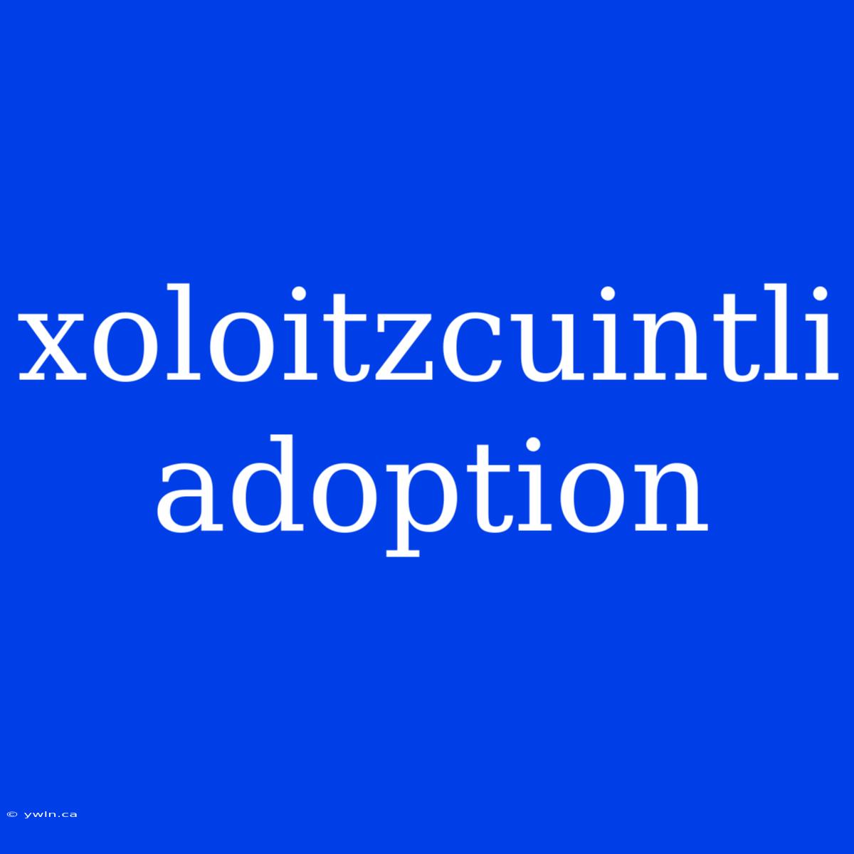 Xoloitzcuintli Adoption