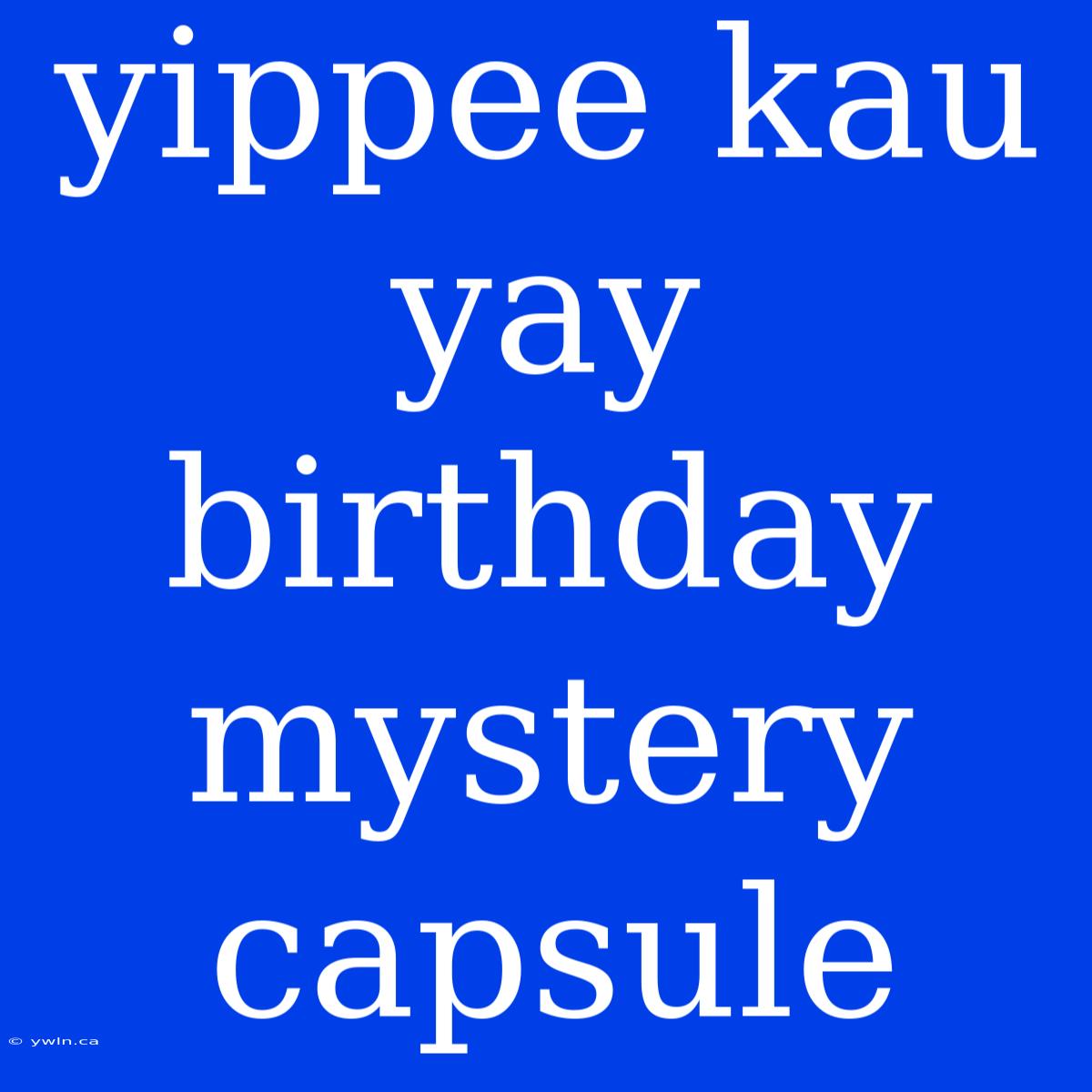 Yippee Kau Yay Birthday Mystery Capsule