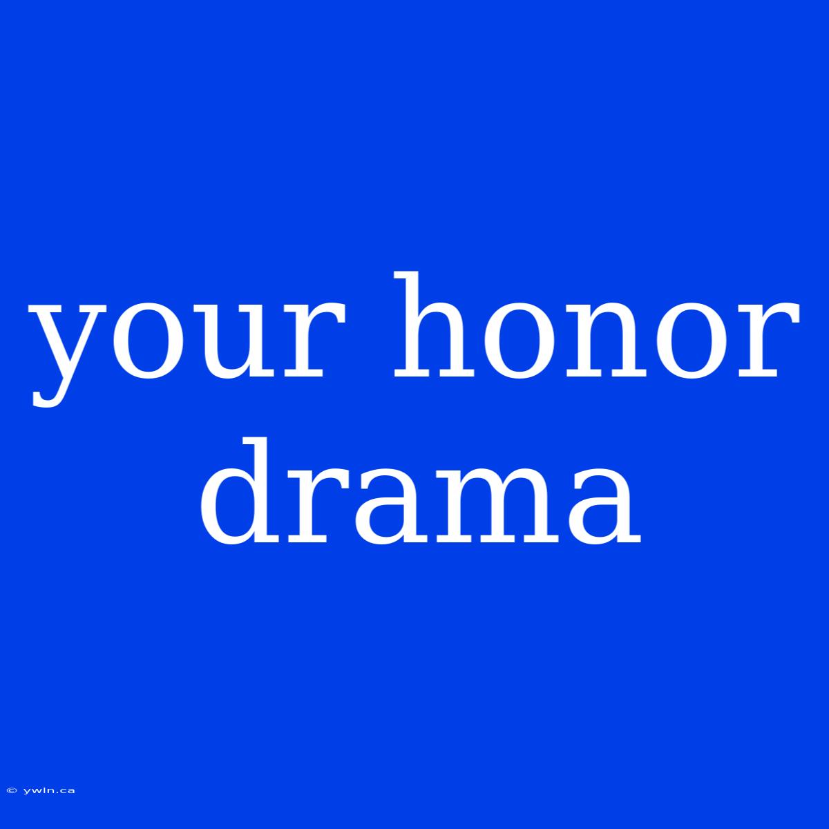 Your Honor Drama