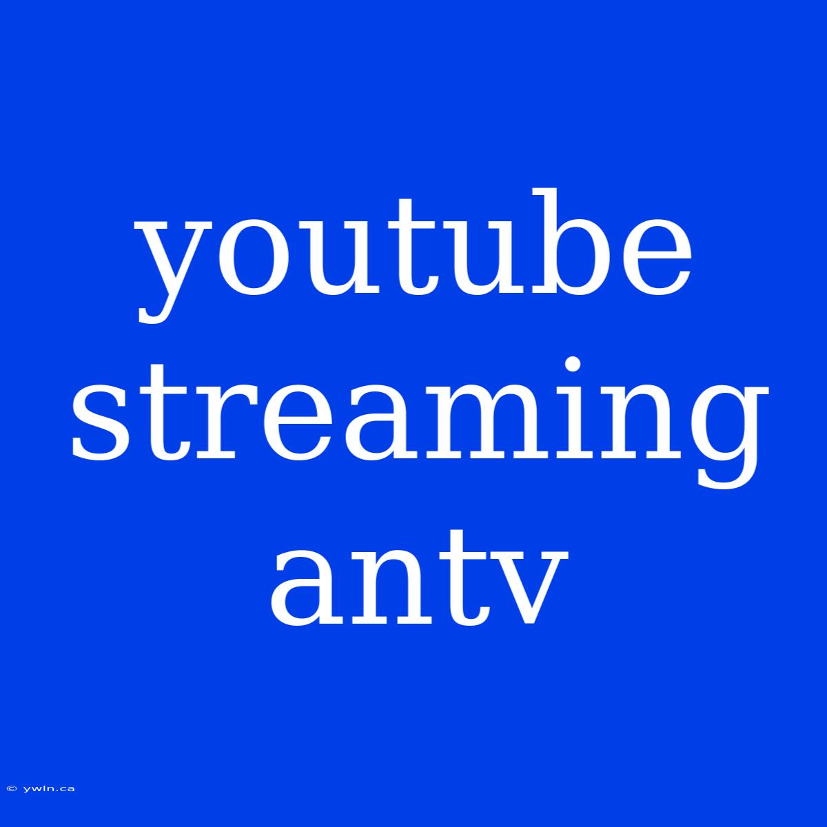 Youtube Streaming Antv