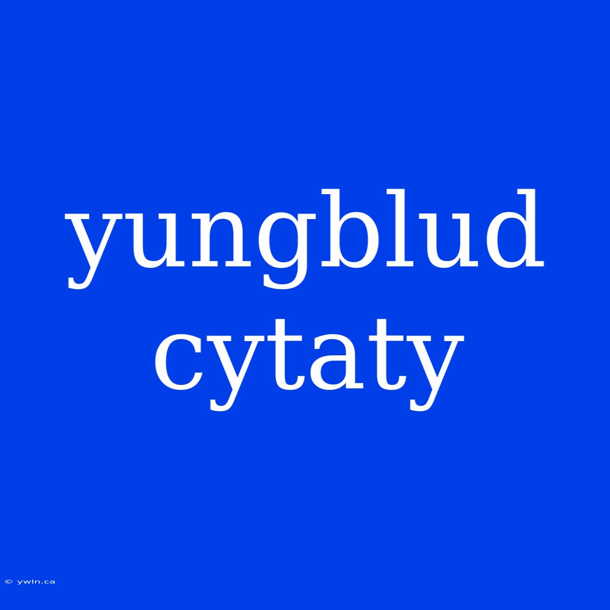 Yungblud Cytaty