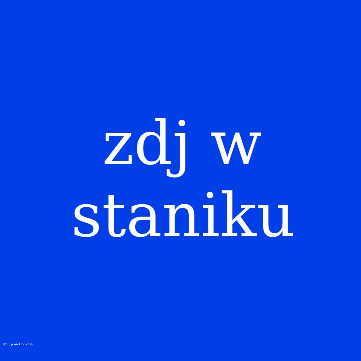 Zdj W Staniku