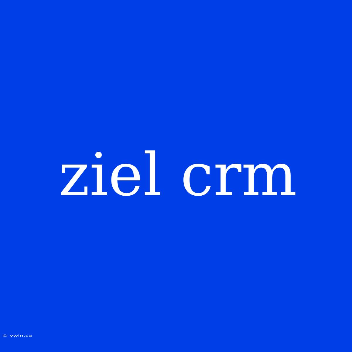 Ziel Crm