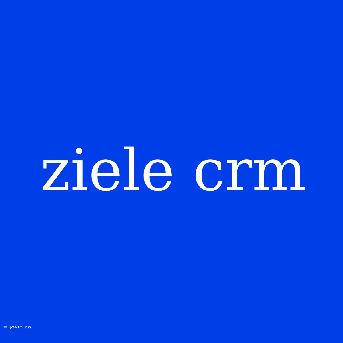 Ziele Crm