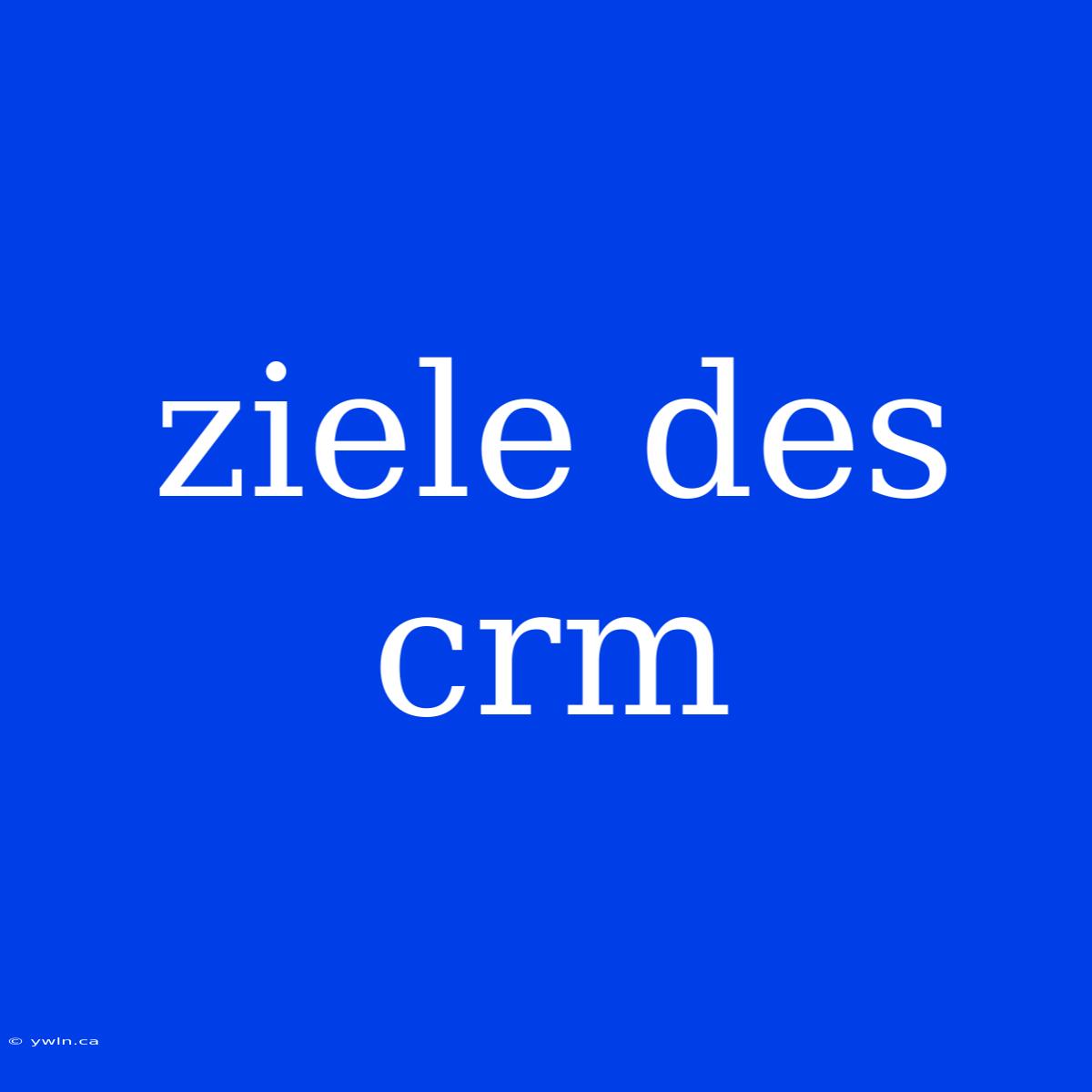 Ziele Des Crm