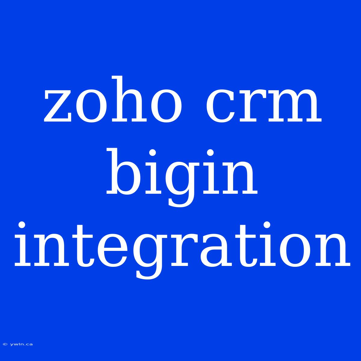 Zoho Crm Bigin Integration