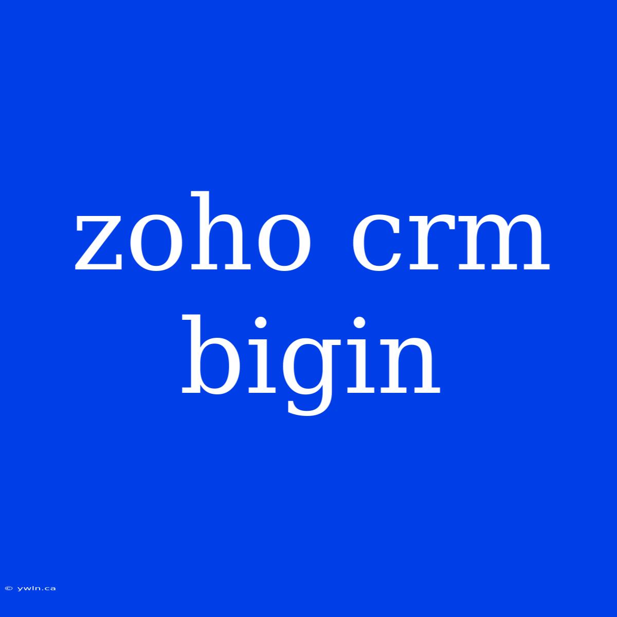 Zoho Crm Bigin