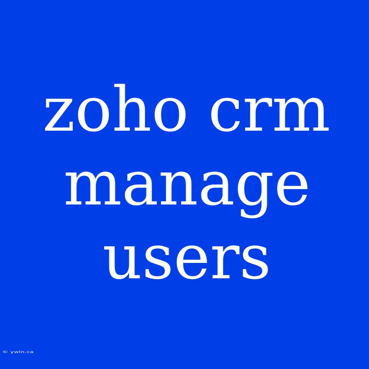 Zoho Crm Manage Users